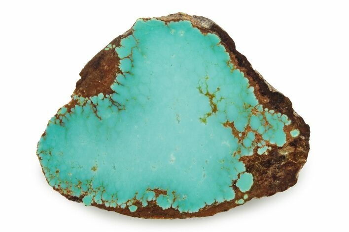 Polished Turquoise Slab - Number Mine, Carlin, NV #245512